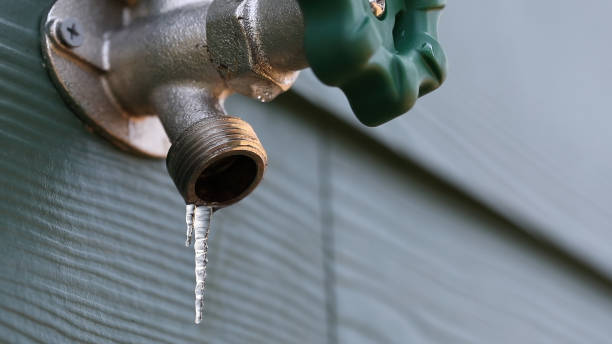 Best Shower Repair Services  in Monette, AR